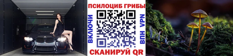 купить наркотики цена  Дудинка  Псилоцибиновые грибы Cubensis 